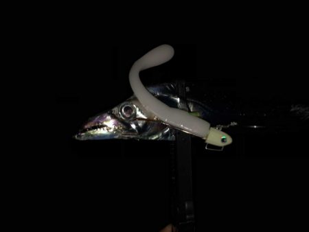 明石ワインド15