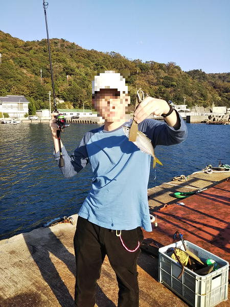 ULSJサビキで良型アジ