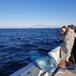 御食い初めの為に