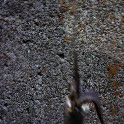 めっちゃ渋い(>_<)