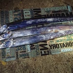 動かない潮に苦戦