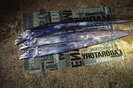 動かない潮に苦戦