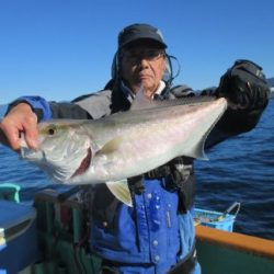 青物釣り