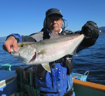 青物釣り