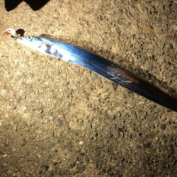 なかなか釣れない