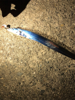 なかなか釣れない