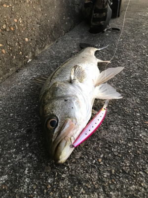 記録更新できました。