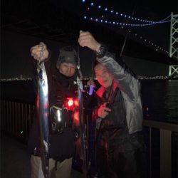 ナイトアジング/サーベリング☆五目達成