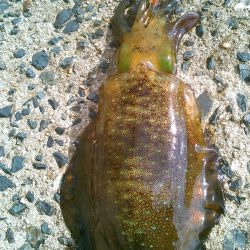 横風に悩まされ