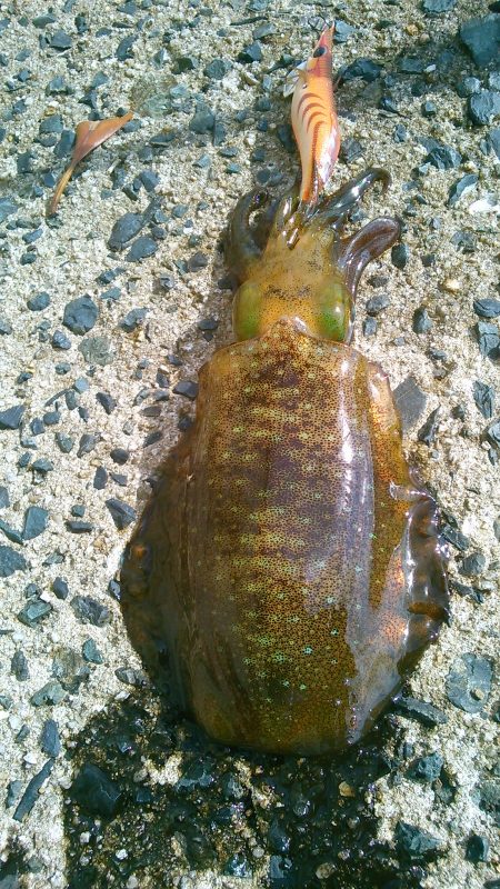 横風に悩まされ