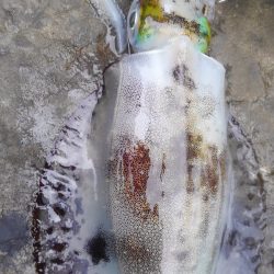 雨を覚悟してましたが、小雨で良かった❗