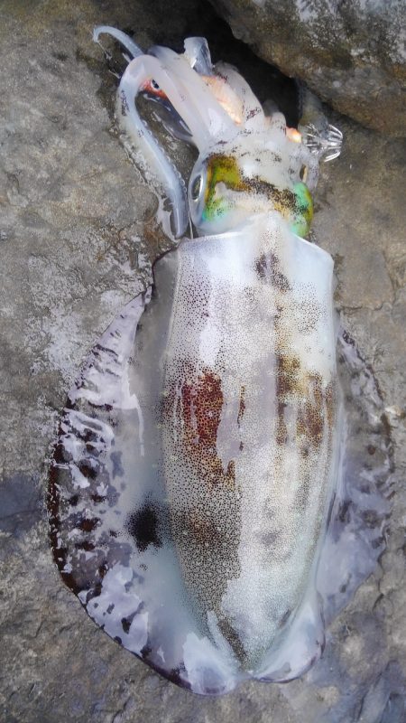 雨を覚悟してましたが、小雨で良かった&#x…