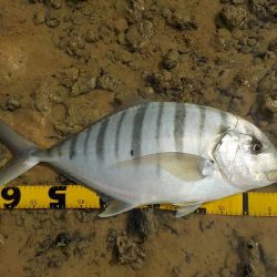 バイトは少なめ!