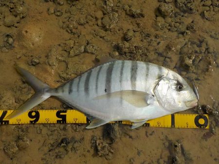 バイトは少なめ！