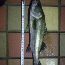 短時間でGET　～辰巳一付近～