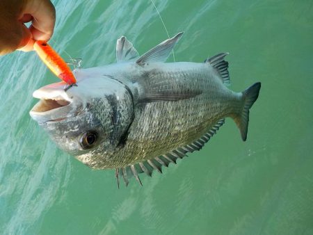 ポッパーゲーム