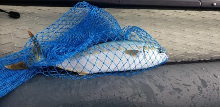 SUPフィッシング