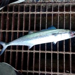 今日はいい日だった