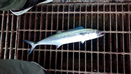 今日はいい日だった