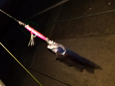 水軒も厳しくなってきました