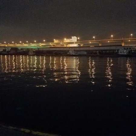 アジング楽しい‼