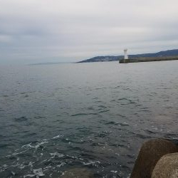 久しぶりの地元メバリング