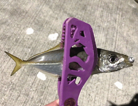 坊勢アジング(2018-9)