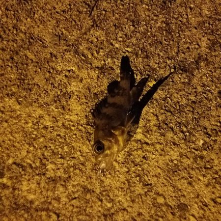 夜1時になると寒い‼