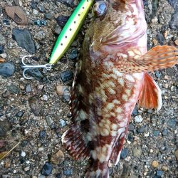 全くダメな日曜日だった