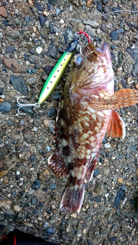 全くダメな日曜日だった