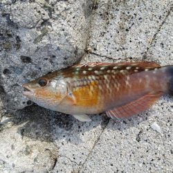 久しぶりの遠征