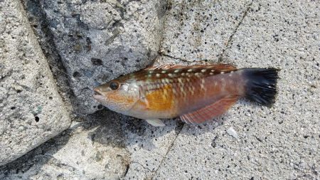 久しぶりの遠征