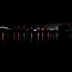 釣れるとデカい！