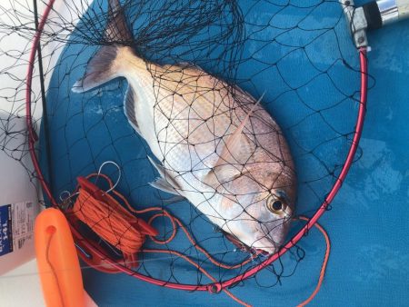 サップフィッシング