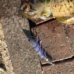 仕事終わりに！