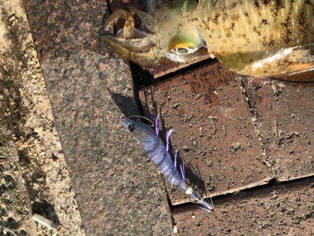 仕事終わりに！