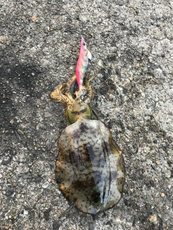 ヤエンばっかり