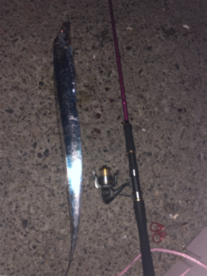 ドラゴン及ばず…。