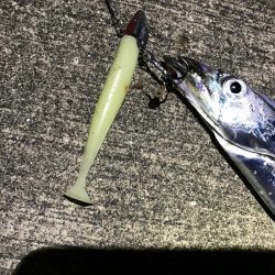 本格的に寒くなって参りました