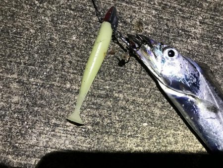 本格的に寒くなって参りました