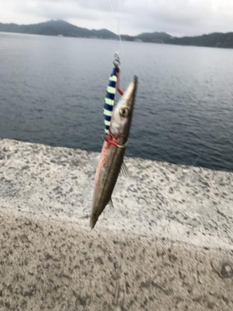 ショアジギング