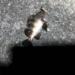 メバリング特訓