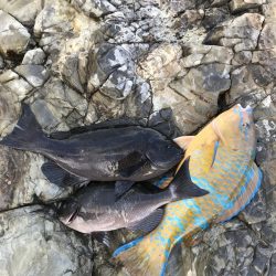 フカセ釣り、エギング