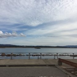 ジギング エギング異常無し!