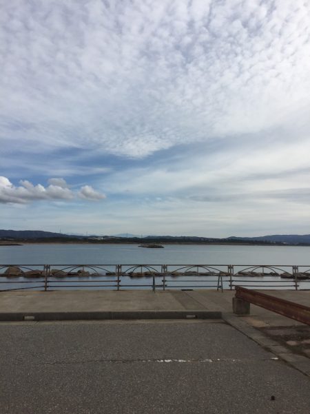 ジギング エギング異常無し!