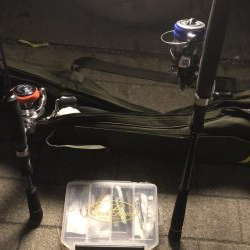 極寒のシーサイドコスモ