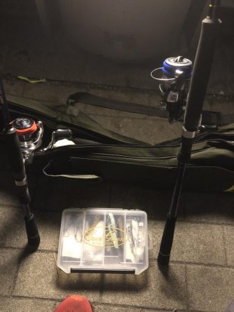 極寒のシーサイドコスモ