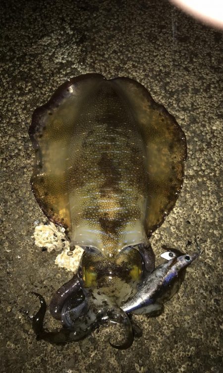 夕まずめの一瞬