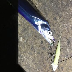 休日の激戦区へ