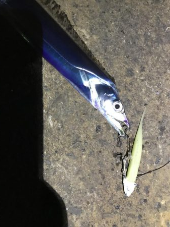 休日の激戦区へ